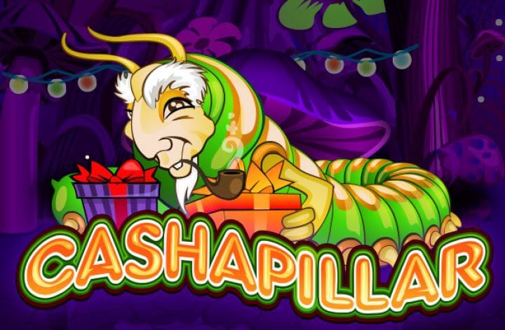 Cashapillar Review