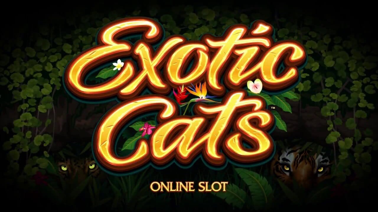 Exotic Cats Review