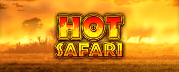 Hot Safari Review