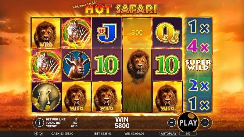 Hot Safari Slot Gameplay