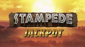 Stampede Jackpot Review