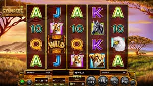 Stampede Jackpot Slot Gameplay