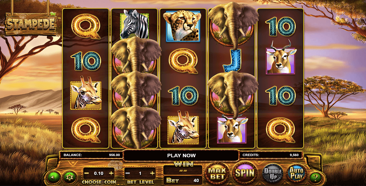 Stampede Slot Bonus