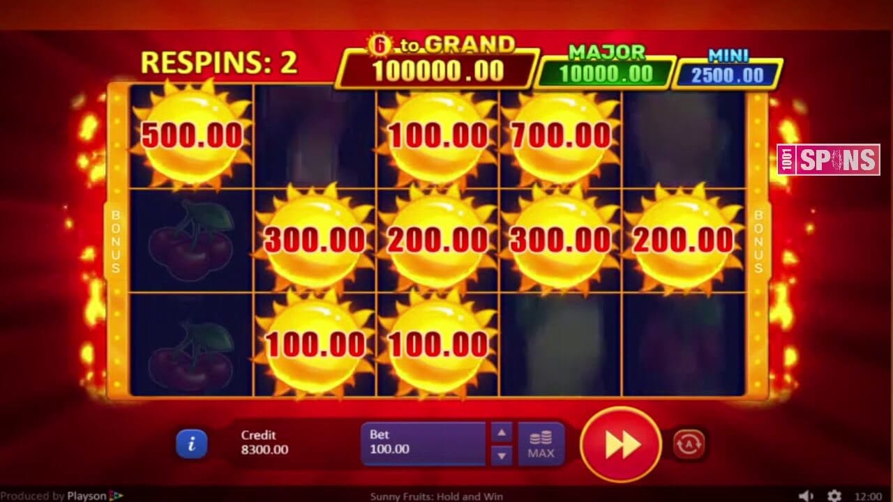 Sunny Fruits Slot Bonuses