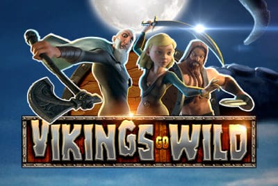 Vikings Go Wild Slot Review