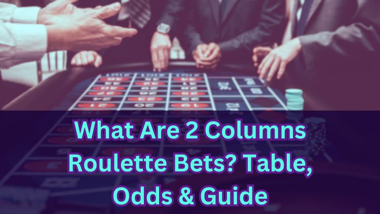 What Are 2 Columns Roulette Bets? Table, Odds & Guide