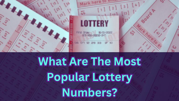 What Are The Most Popular Lottery Numbers?
