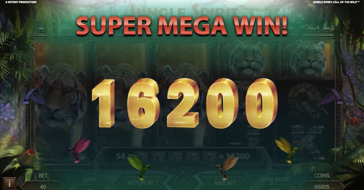 Jungle Spirit Call of the Wild Slot Big Win