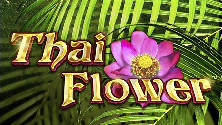 Thai Flower Slot Logo Pay By Mobile Casino